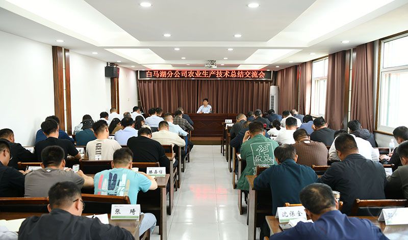 分公司召开农业管理经验交流会