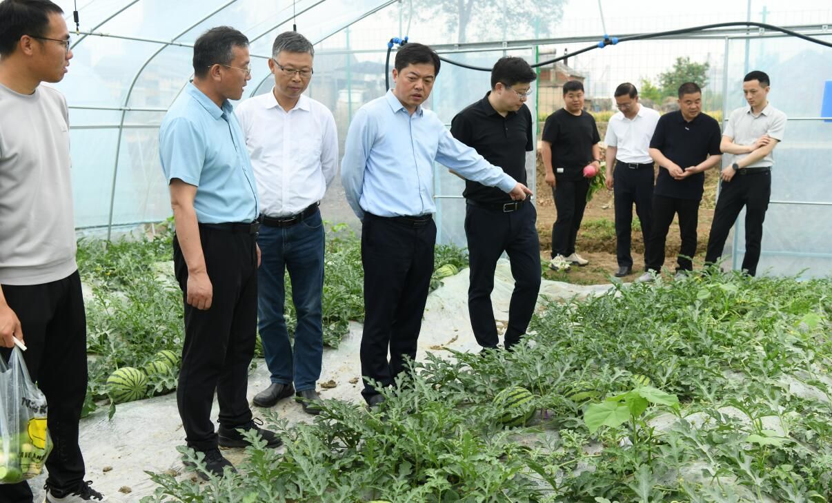 三河农场来白马湖调研考察
